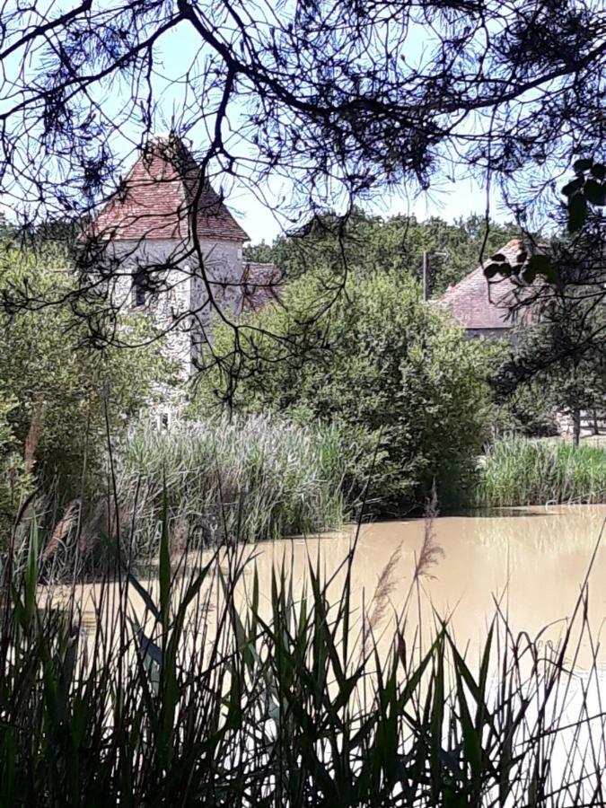 Готель Le Manoir De Pierre Levee, The Originals Collection Tournon-Saint-Martin Екстер'єр фото